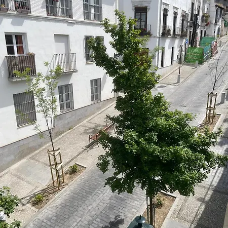 Apartment Centro De Albaicin Bajo *